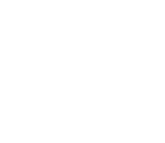 wild ferns usa